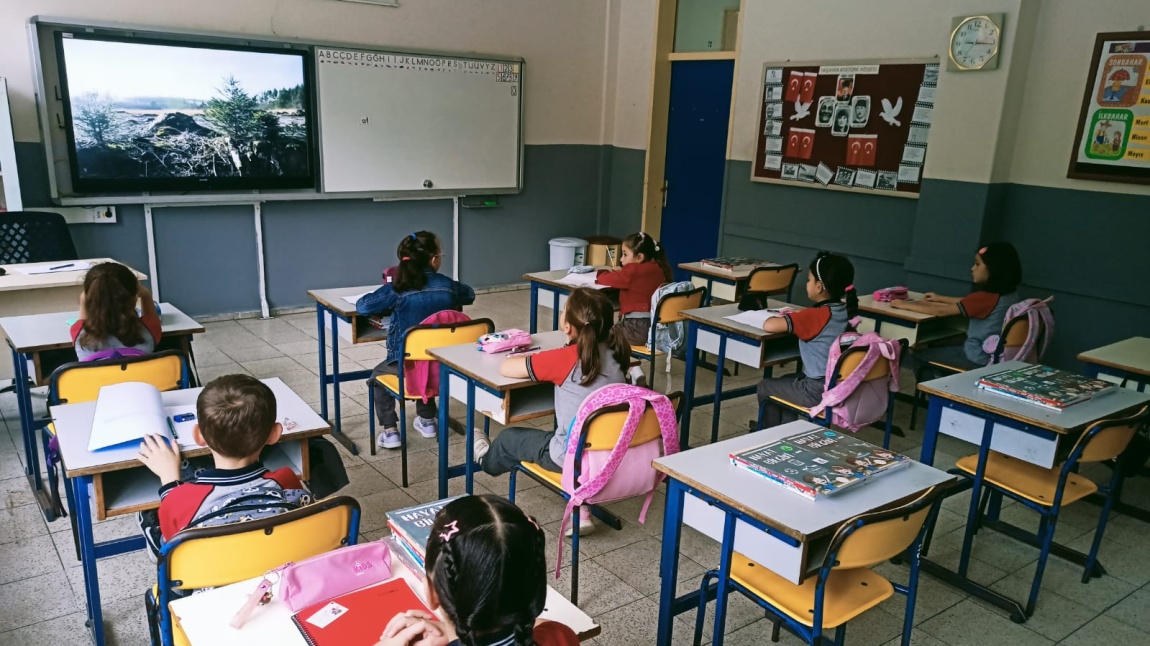 İLK DERSİMİZ YEŞİL VATAN'IM